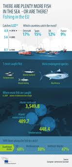 Plenty More Fish In The Sea Meps To Decide On Best Way To Tackle Overfishing News European Parliament Aquaponics Aquaponics Diy Aquaponics System