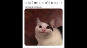Funny Porn Memes you will Explode to - Pornhub.com
