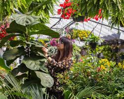 Maybe you would like to learn more about one of these? Schaffitzel S Flowers Springfield Mo