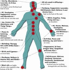 How To Apply Essential Oils Topical Application Guide