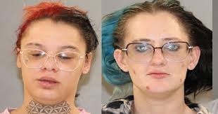 Four Individuals Arrested After Major Drug Bust in Flanagan