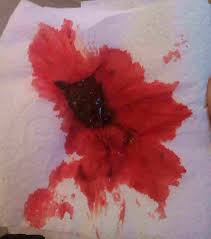 Then this is a sign that you should not put any litter in her box. Blood In Cat Poop Causes And Effects For Cats Catsfud