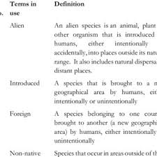 Image result for Pycreus fluminalis