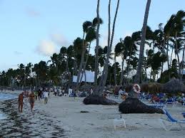 Beach With Seaweed Dreams Palm Beach Punta Cana Dreams Palm Beach Punta Cana Punta Cana Beach Palm Beach Punta Cana