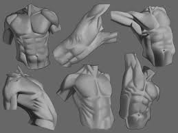 The muscles of the back and abdomen help to keep the spine in an upright position and serve as reliable protection for the abdominal organs. Spyronite S Art Journey Art Blogs Forums Cubebrush