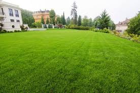 The provider services 2.3 million residential and commercial customers across 49 states. Lawn Care Best Lawn Care Service Yard Care Omaha Ne