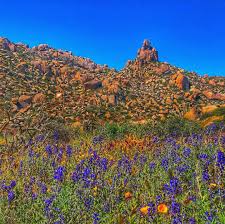 Tom thumb is located at 4215 s carrier pkwy, grand prairie, tx. Tom S Thumb Trailhead Arizona Vacation Perfect Vacation Arizona Hiking