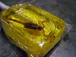 Résultat de recherche d'images pour "scorpion candy"