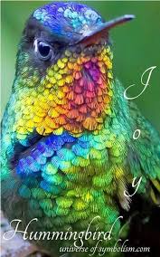 Pin By 75 On Beautiful Birds In 2020 With Images Hummingbird Meaning Birds Hummingbird Symbolism