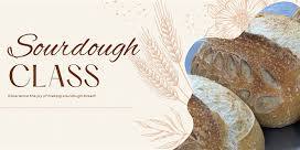 Sourdough Basics