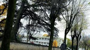 Es la más frecuente y suele iniciarse entre los 20 y 30 años. Schizophrene Meurtrier Les Psychiatres Inquiets Apres La Condamnation De L Un Des Leurs Redon Maville Com