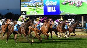 Biggest Quaddie since Adam was a boy! Almost