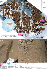 Max sensitivity of 6 g/yr. Hypolithic Communities Shape Soils And Organic Matter Reservoirs In The Ice Free Landscapes Of East Antarctica Scientific Reports