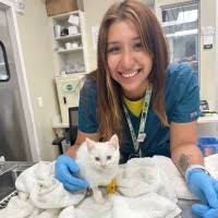 300+ "Galárraga" profiles