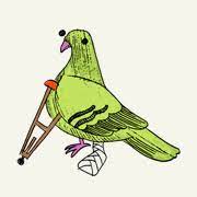 Palomo Cojo - Palomo Cojo added a new photo.