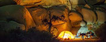 Best Camping In Joshua Tree National Park