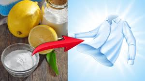 Maybe you would like to learn more about one of these? How To Get The Fishy Smell Out Of Clothes Remove Oily Stains Too