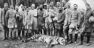 Tiger Hunting Art Prints, Posters & Puzzles