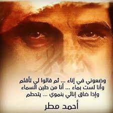 وضعوني في إناء Movie Posters Poster Movies
