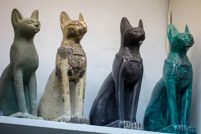 Por qué los antiguos egipcios momificaban a sus gatos? El misterio revelado - Futura-Sciences