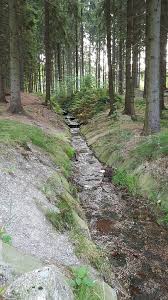 We did not find results for: Torrent Forest Inlet Free Photo On Pixabay