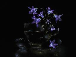 Check spelling or type a new query. Wallpaper Life Blue Light Wild Brown Plant Lightpainting Black Flower Color Reflection Green Art Cup Glass Floral Colors Beautiful Beauty Glitter Night Digital Dark Painting Season Print Photography Photo Still Artwork