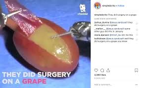 Enjoy friday, saturday, and sunday. Top 10 Memes Of 2018 5 They Did Surgery On A Grape The Gateway