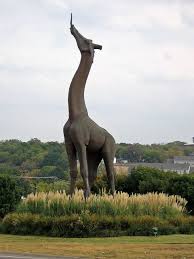 Keep up the great work! Giraffe Statue At The Entrance To The Dallas Zoo Dallas Zoo Giraffes Statues Dallas Texas Attractions