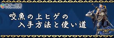 神ゲー攻略