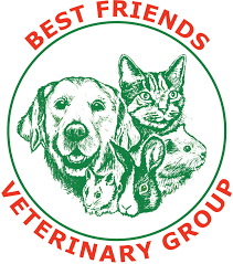 Best friends has been great with walking him separately and helping us to safety when we come to visit. Best Friends Veterinary Group Broadway Veterinary Hospital Peterborough Cambridge