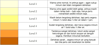 Najis ini disebut najis berat karena membutuhkan perlakuan khusus untuk membersihkan najisnya. Jenis Warna Air Kencing Yang Menerangkan Kesihatan Tubuh Badan Kita Daily Rakyat