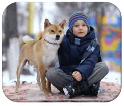Check spelling or type a new query. Is There Science Behind That Autism Service Dogs