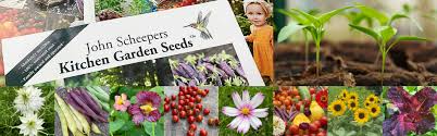 Why so, you may ask? Best Seeds For Kitchen Garden