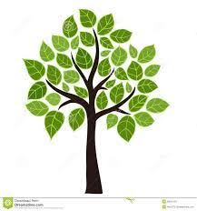 Risultati Immagini Per Alberi Stilizzati Disegni Di Alberi Arte Dell Albero Immagini