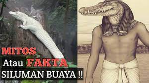 Jikalau ada orang berbuat tak senonoh di sekitar danau, maka orang itu akan menjadi korban buaya putih setu babakan. Siluman Buaya Putih Ternyata Youtube