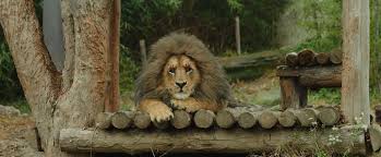 / nonton film secret zoo (2020) subtitle indonesia.when he and a group of zookeepers come up with the idea to dress like animals and his fake polar bear goes viral, the zoo becomes a hit, before his law firm's real intentions are revealed. Secret Zoo 2020 Imdb