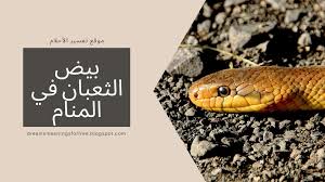 تفسير رؤية الشوكولاتة في المنام ومعناها بالتفصيل. ØªÙØ³ÙŠØ± Ø±Ø¤ÙŠØ© Ø¨ÙŠØ¶ Ø§Ù„Ø«Ø¹Ø¨Ø§Ù† ÙÙŠ Ø§Ù„Ù…Ù†Ø§Ù…