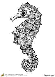 dessin a colorier d un hippocampe mandala hugolescargot com coloriage animaux tracteur et remorque