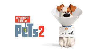 936 Putlocker Hd The Secret Life Of Pets 2 2019 123movies Le Secret De La Vie Tv Cinema