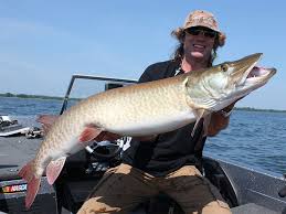 Edmund sixtus muskie was an american statesman and political leader who served as the 58th united states secretary of state under president. The 7 Best Waters To Catch A Trophy Muskie