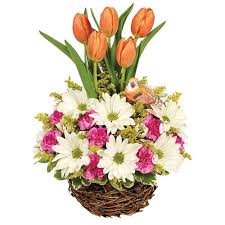 Stunning water resistant laminate floors throughout with amazing modern kitchen and bathrooms. Tucson Az Same Day Same Day Flower Delivery Delivery Send A Gift Today Roses More