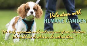 Learn more about athenspets in athens, ga, and search the available pets they have up for adoption on petfinder. Humane Camden Humane Society Of Camden County