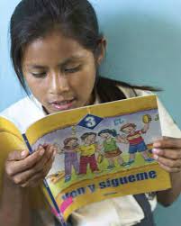 Success in Primary School