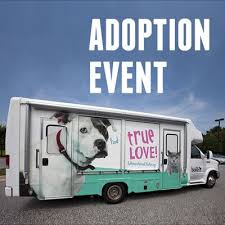 Petsmart works with animal rescue groups to provide visibility to animals needing adoption. Barcs Events