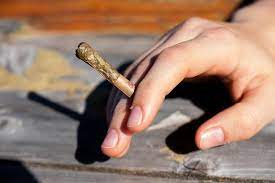 Smoking joints is one of the most popular ways to consume cannabis. Ams Vice Is Going To Teach You How To Roll A Joint A Cannabis Cigarette A J A Doobie Or A Doink If You Will