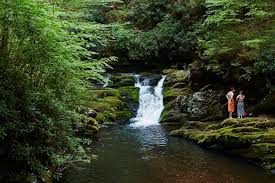 Image result for Beige 1972 Caloric