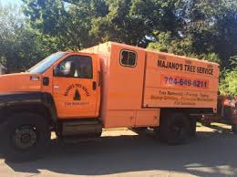 We've used hi tree service twice to remove trees and shrubs. Majano S Tree Service Llc Matthews Nc
