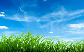 Nature Wallpaper Hd Hd Wallpapers 3d Green Grass Hd 1600x1000 Wallpaper Teahub Io Feel free to download, share, comment and discuss every wallpaper you.