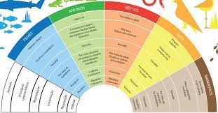 Desde os dois abrangentes reinos. Classificacao De Whittaker Mybrain