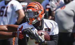 Jeremy Hill Gio Bernard 1 2 On Bengals Rb Depth Chart